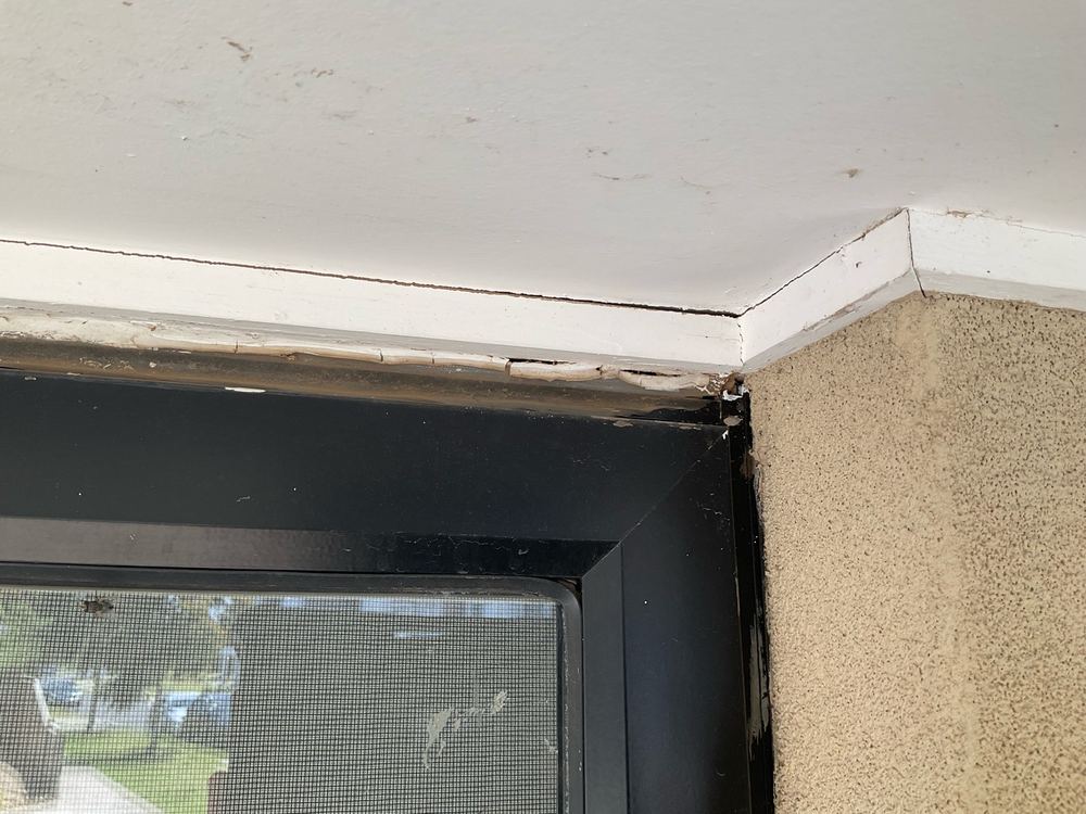 Damaged section of eaves lining that needs repairing, found during a building and pest inspection in Truganina