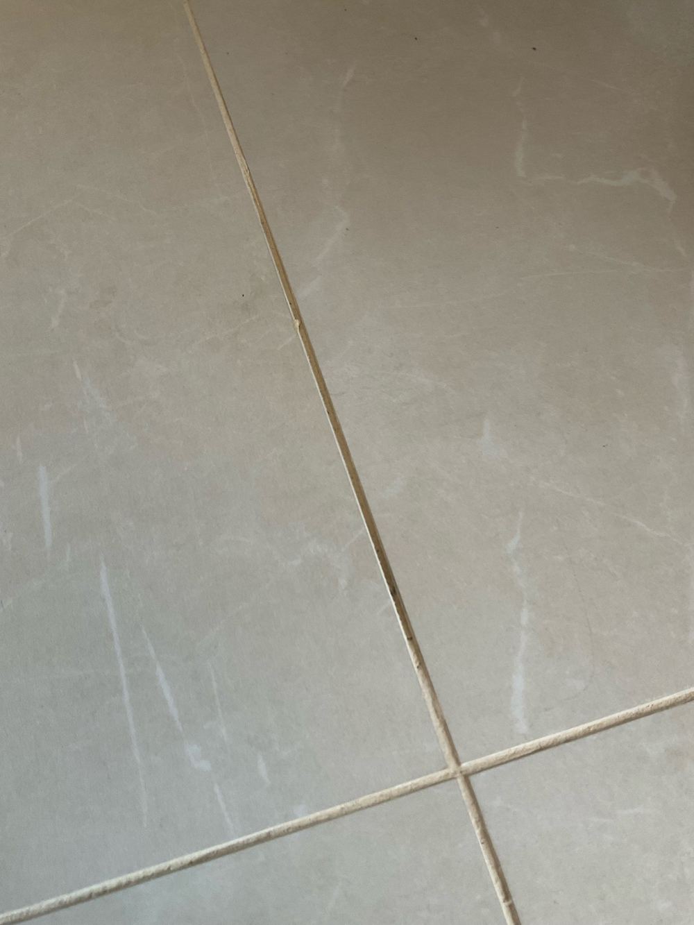 Tile grout and joints poorly finished across several areas, Truganina