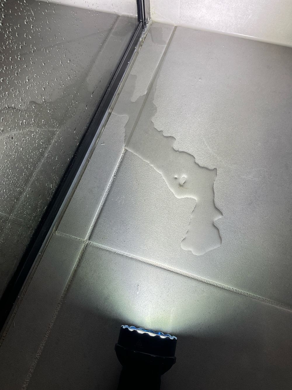 Shower enclosure leaking water during the handover inspection, found during a PCI inspection in Truganina
